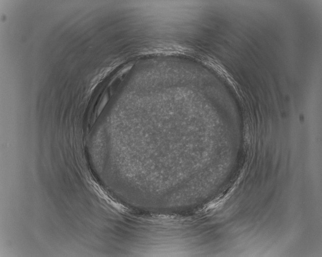 X0000061150585200512161557