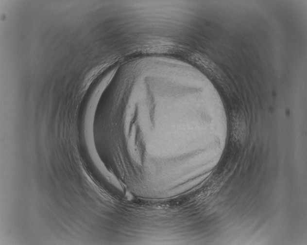 X0000061150586200512161557