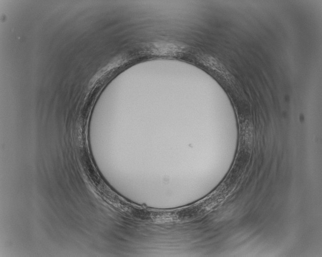 X0000061150587200512161557