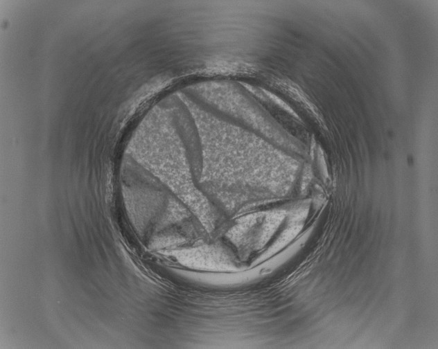 X0000061150588200512161557