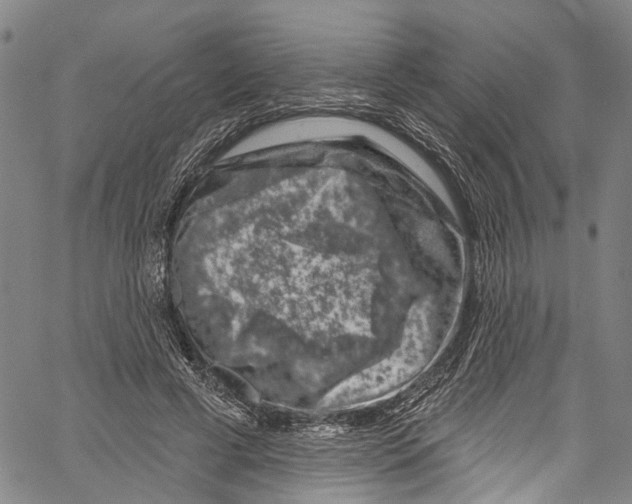 X0000061150593200512161557