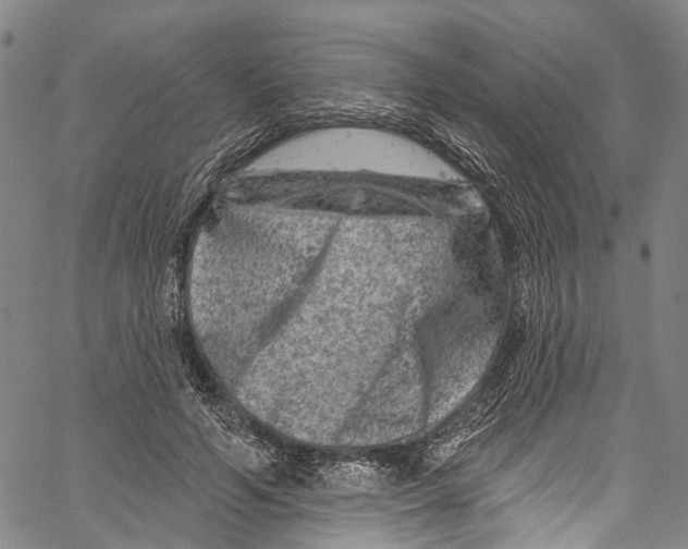 X0000061150594200512161557