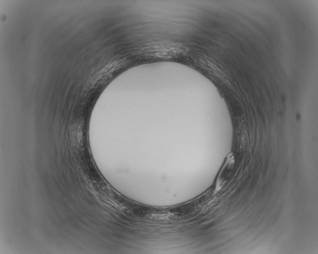 X0000061150595200512161557