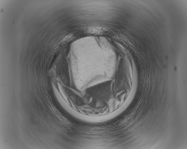 X0000061150597200512161557