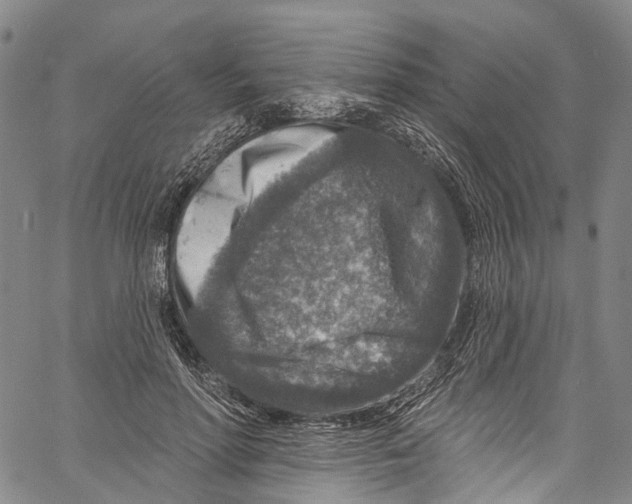 X0000061150598200512161557