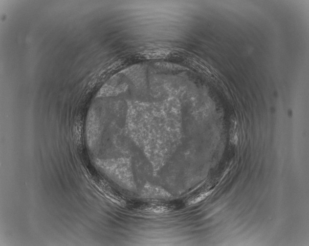 X0000061150604200512161557