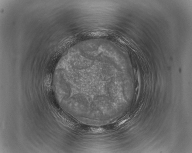 X0000061150605200512161557