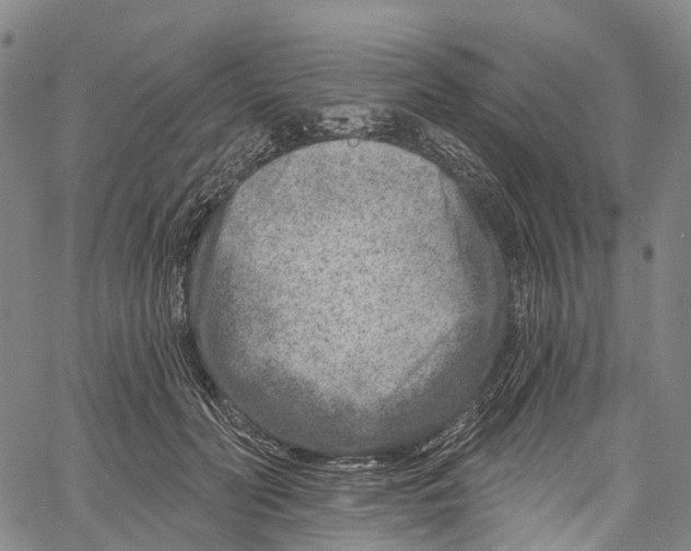 X0000061150606200512161557