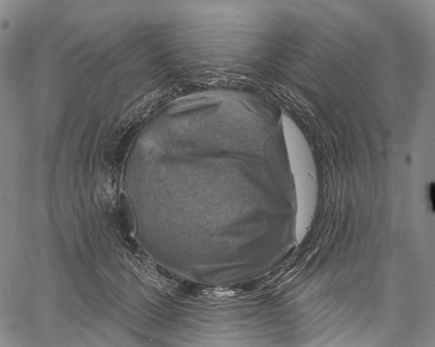 X0000061150607200512161557