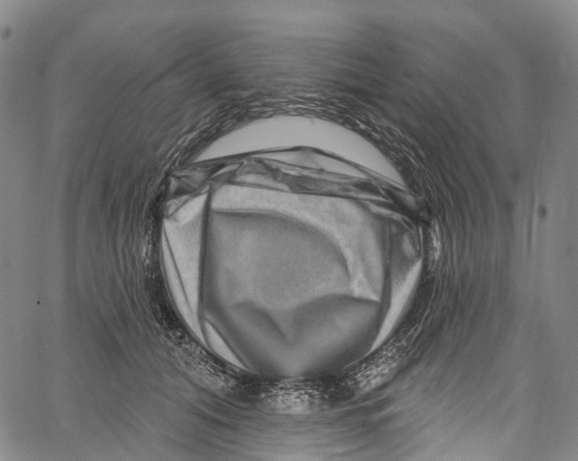 X0000061150608200512161557