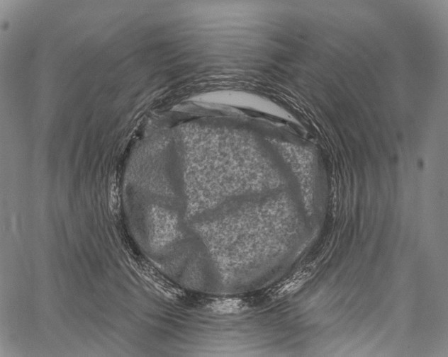 X0000061150609200512161557