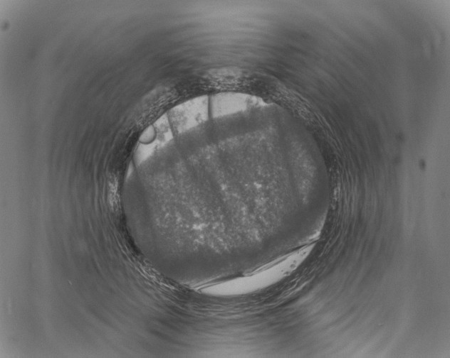 X0000061150610200512161557