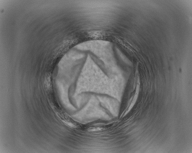 X0000061150611200512161557