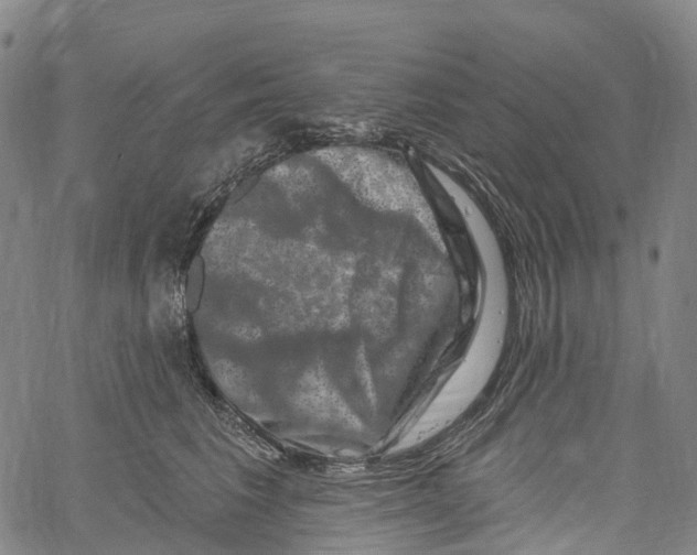 X0000061150613200512161557