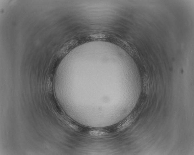 X0000061150614200512161557