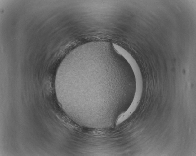 X0000061150615200512161557