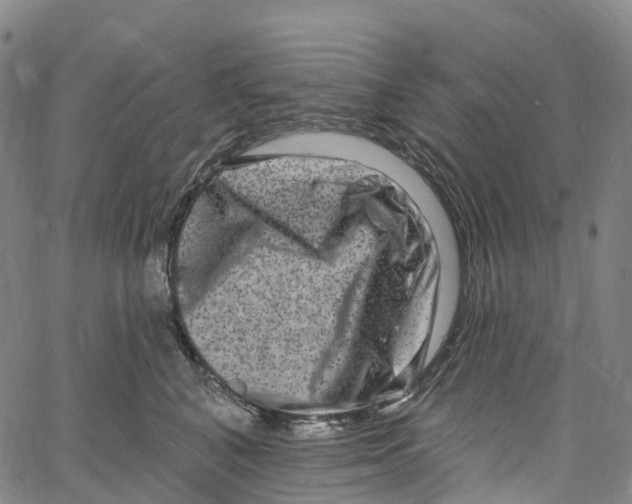 X0000061150616200512161557