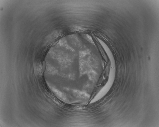 X0000061150617200512161557