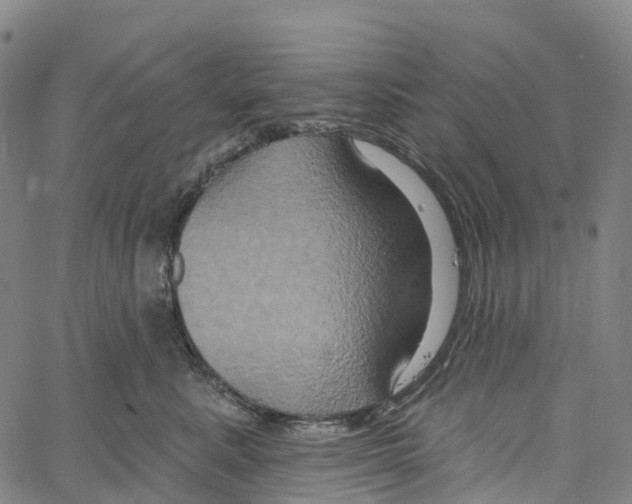 X0000061150619200512161557