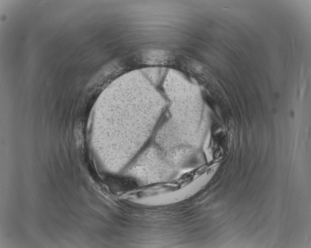 X0000061150620200512161557