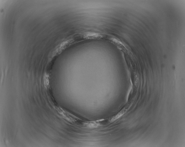 X0000061150621200512161557