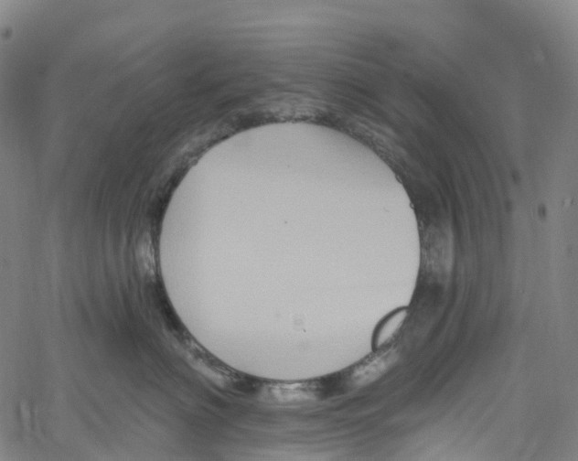 X0000061150622200512161557