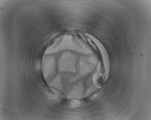 X0000061150623200512161557