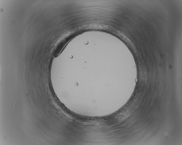 X0000061150625200512161556