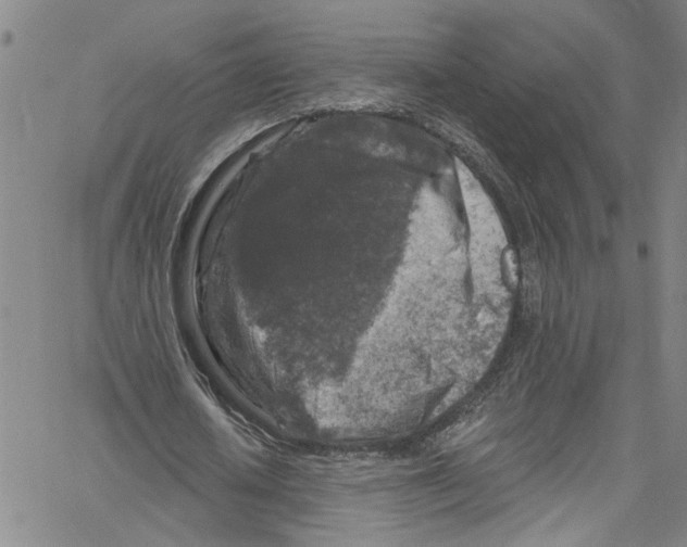 X0000061150626200512161556