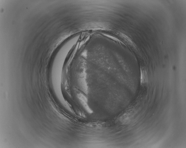 X0000061150627200512161556