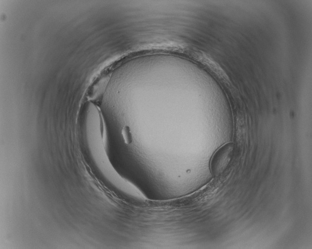 X0000061150628200512161556