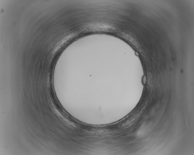 X0000061150629200512161556