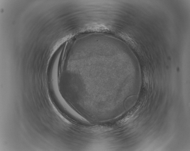 X0000061150630200512161556