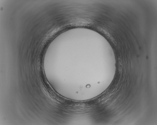 X0000061150631200512161556