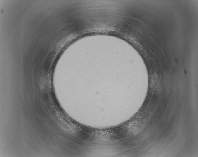 X0000061150632200512161556