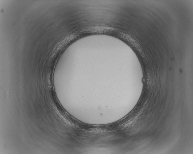 X0000061150633200512161556