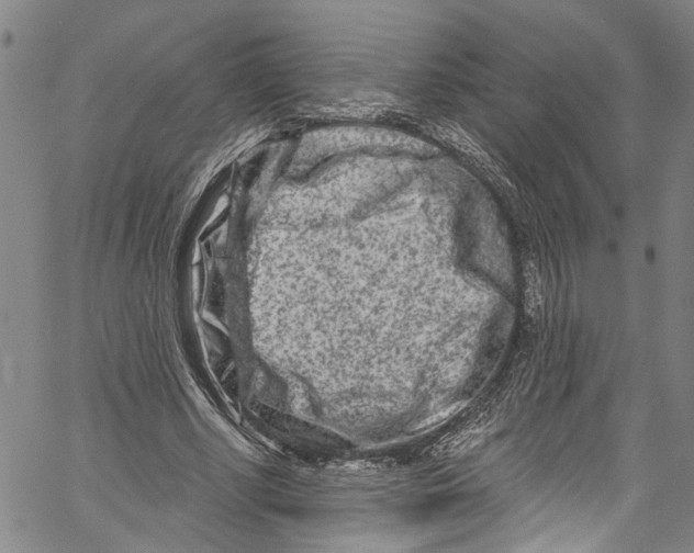 X0000061150634200512161556