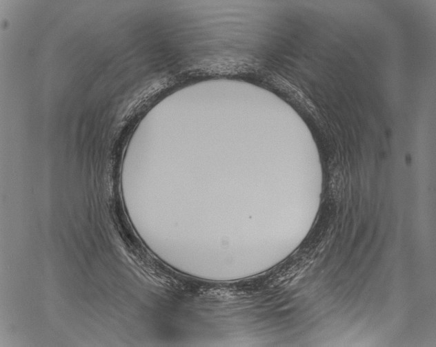 X0000061150635200512161556