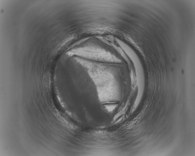 X0000061150637200512161556