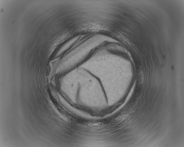 X0000061150638200512161556