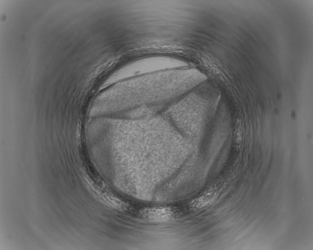 X0000061150639200512161556