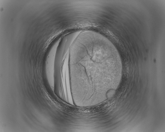 X0000061150640200512161556