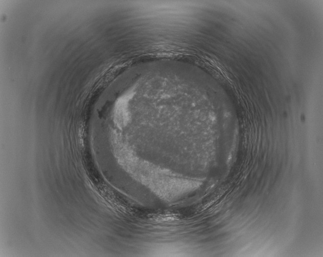 X0000061150643200512161556