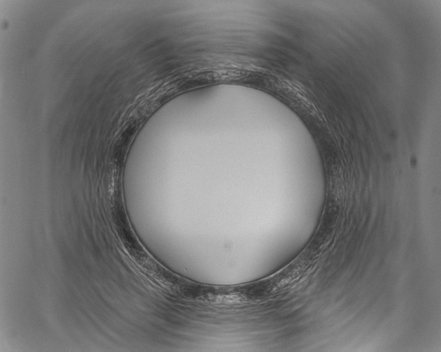 X0000061150645200512161556