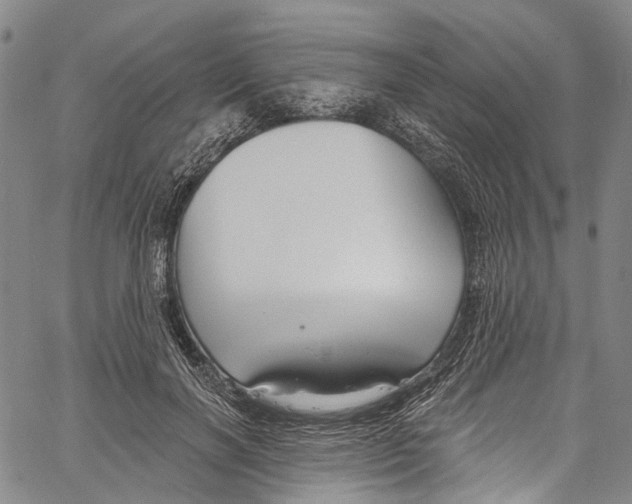 X0000061150646200512161556