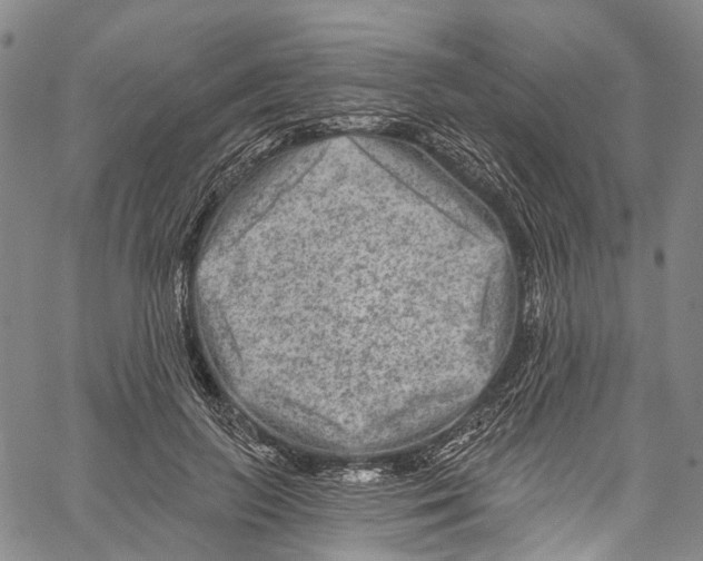 X0000061150647200512161556