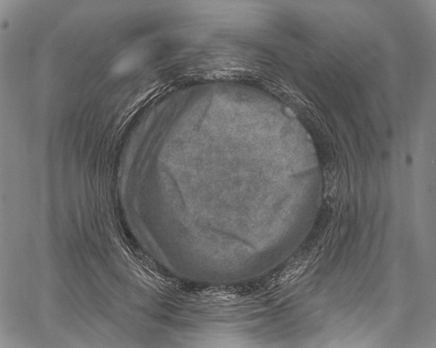 X0000061150648200512161556