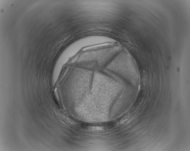 X0000061150649200512161556