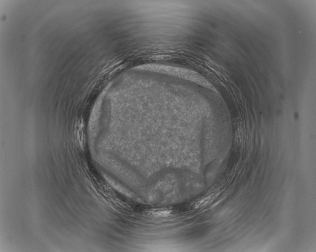 X0000061150651200512161556