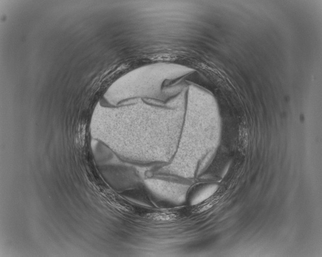 X0000061150652200512161556